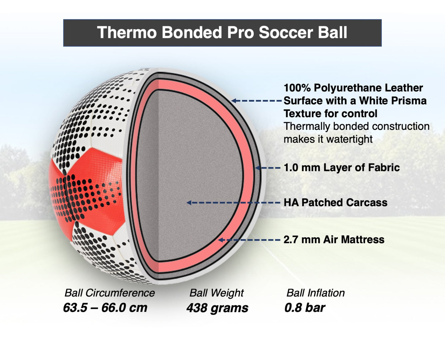 Flynn Size 5 soccer ball cross section