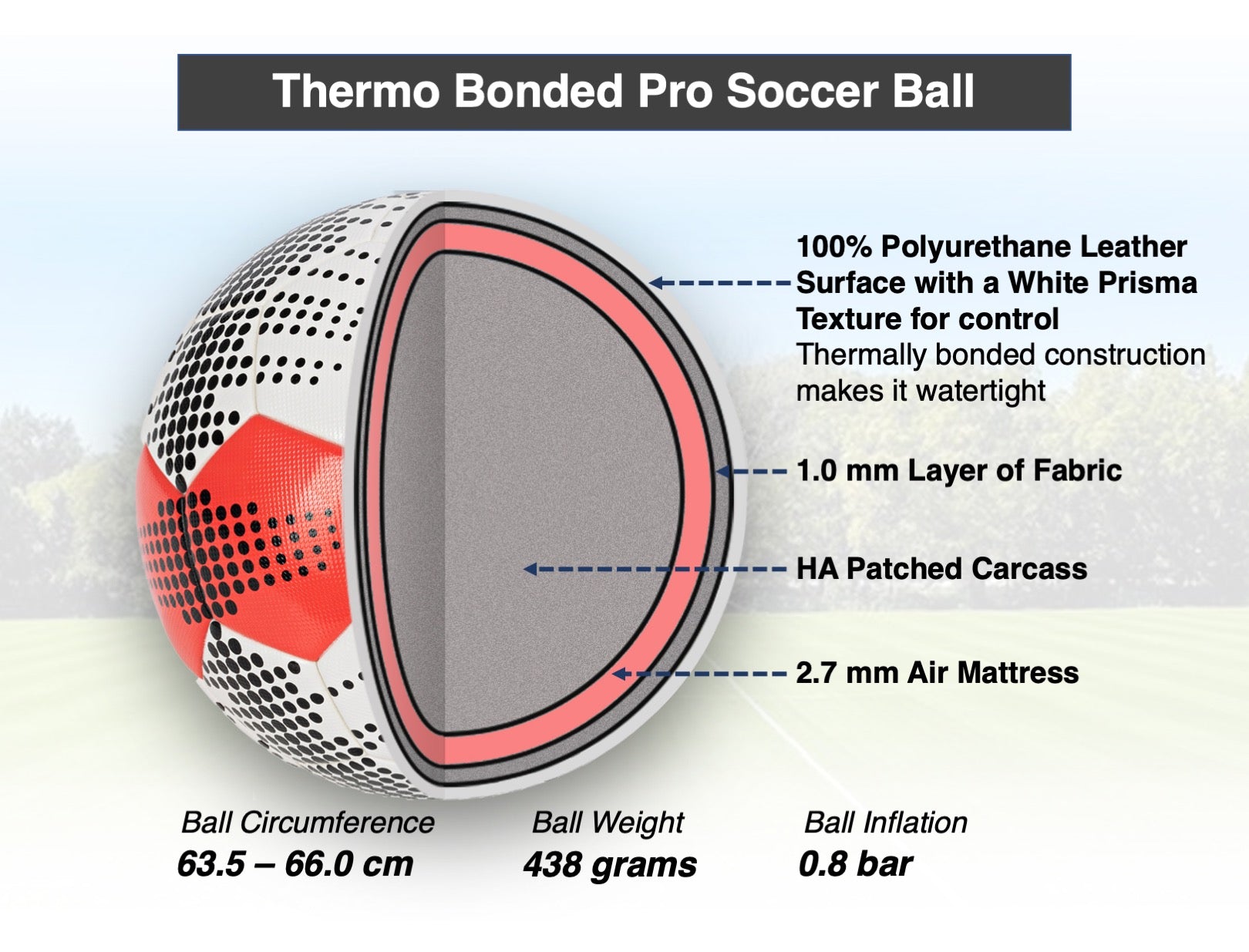 Flynn Size 5 soccer ball cross section