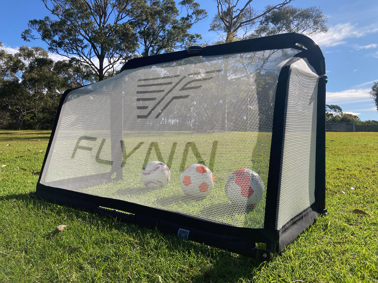 Flynn Soccer Goals